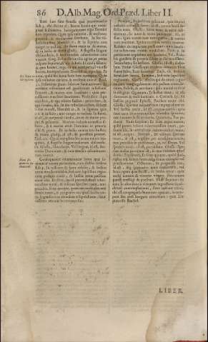 248