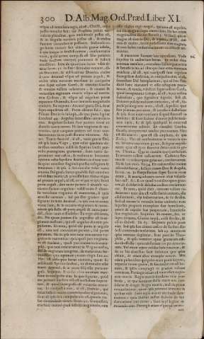 462