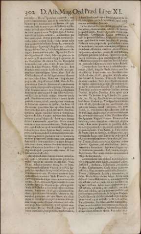 464