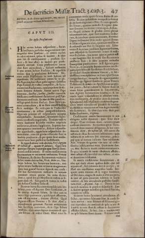229