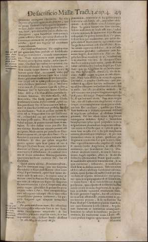 231