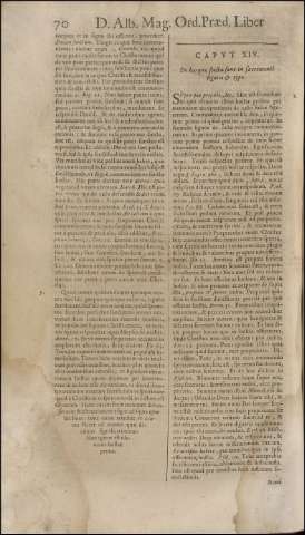 252