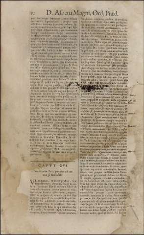 484