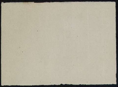 381