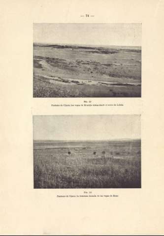 74