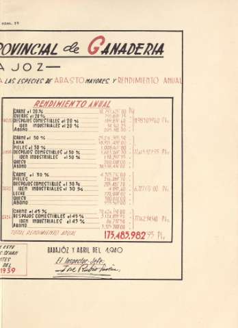 19