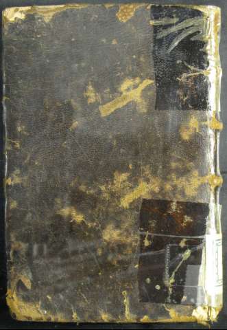 Tapa