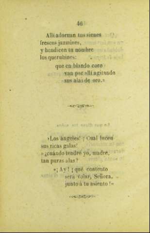 46
