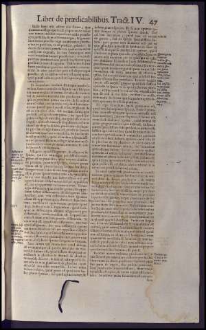 87