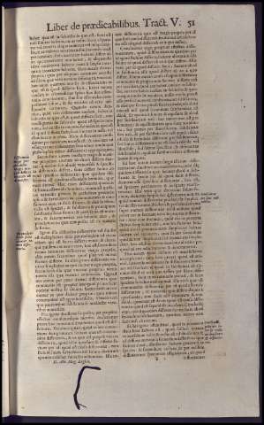 91