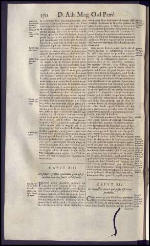210