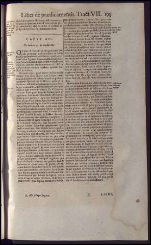 233