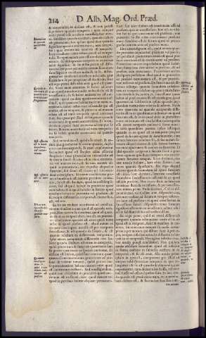 254