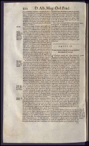 262