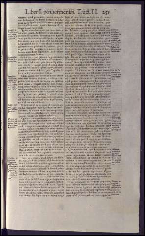 291