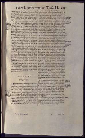 293