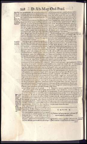 338
