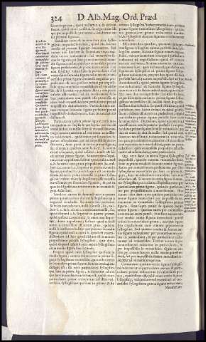 364