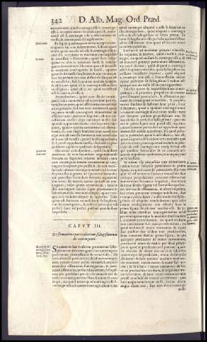 382