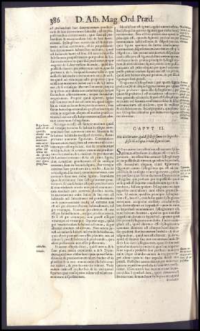 426