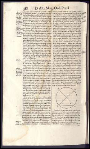 428