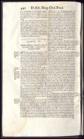 482