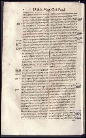 80