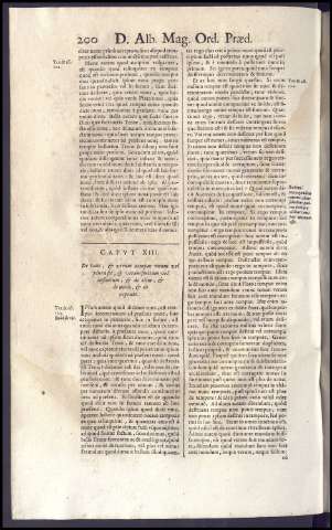 230