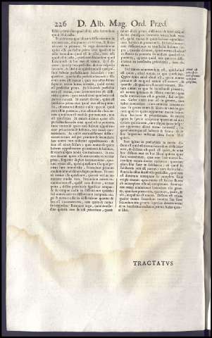 256