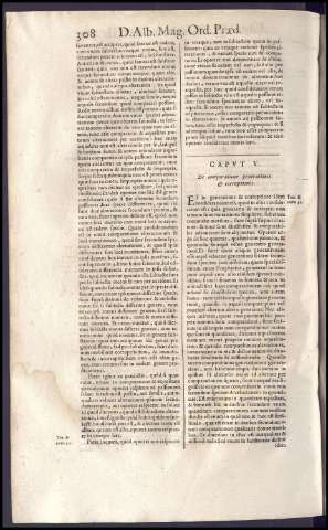 338