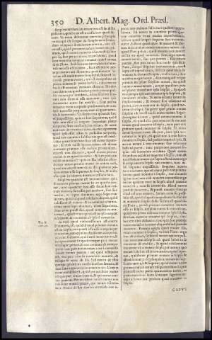 380
