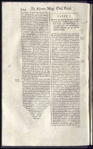 384