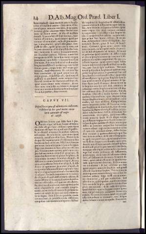 428