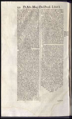 464