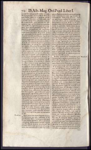 484