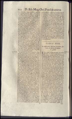 126