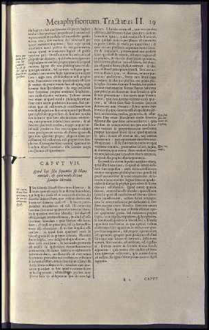 231