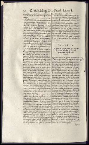 238