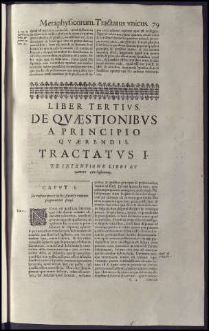 291