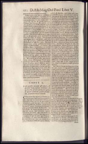 384