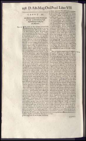 462