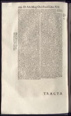 464