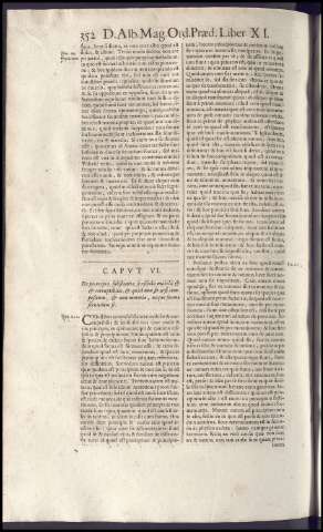 556