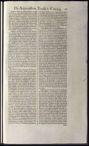 89