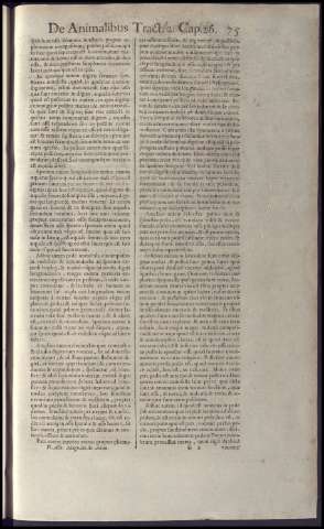 93