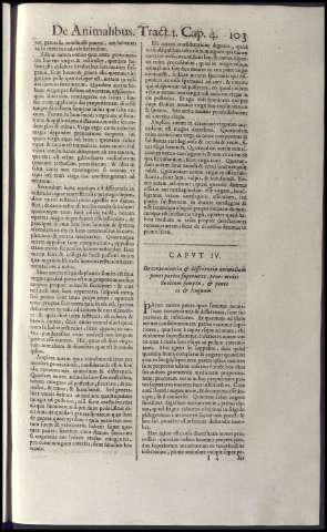 121
