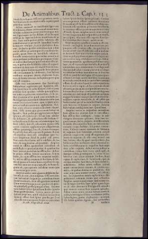 151