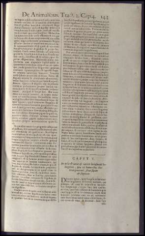 161