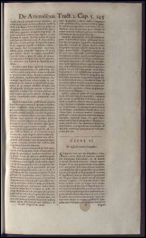 163