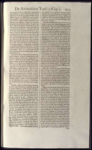 219